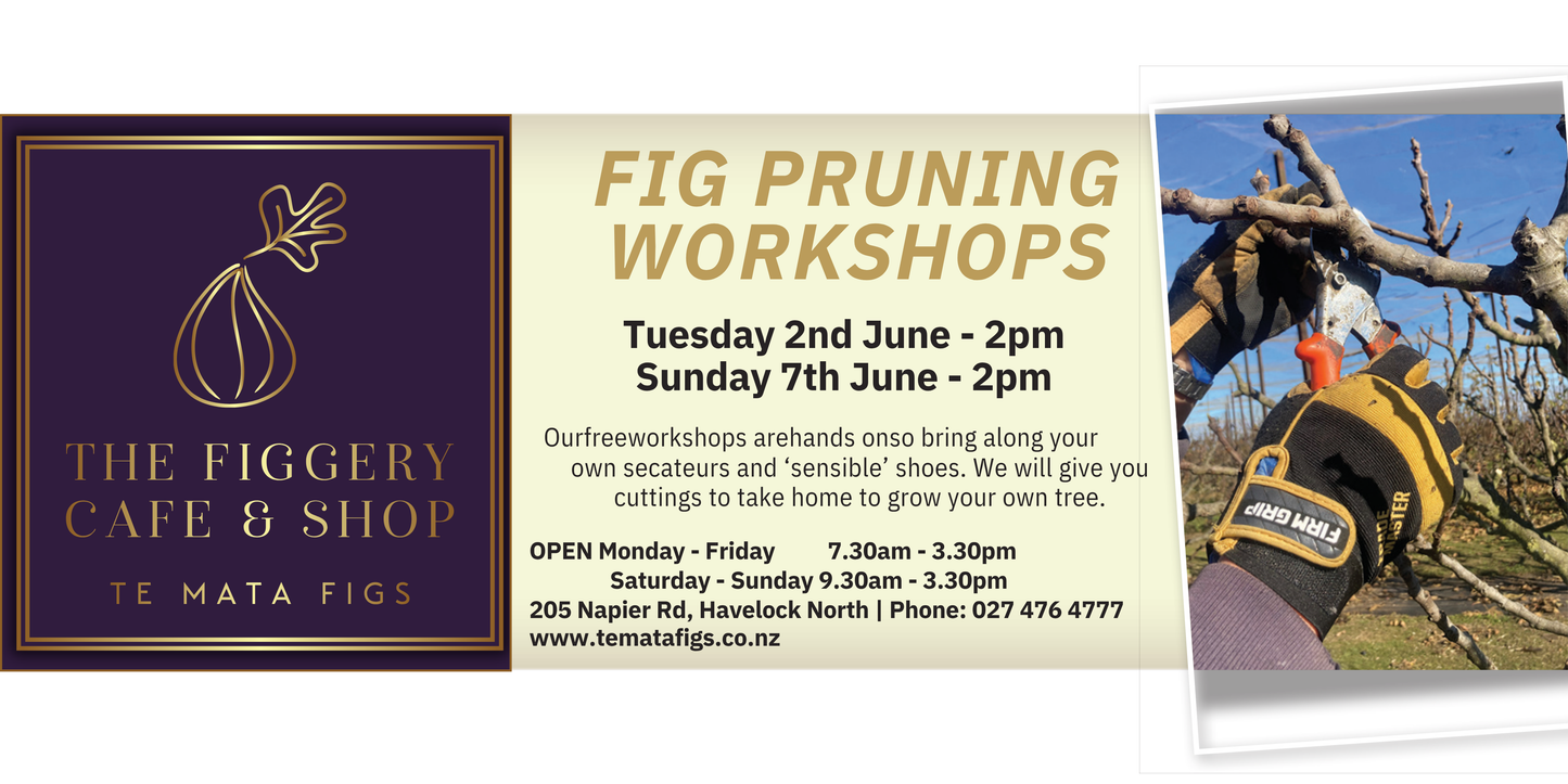 Fig Pruning Workshops - June 2026