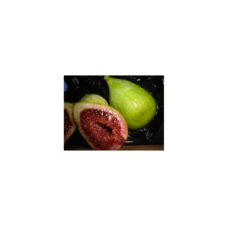 
                  
                    Fresh Fig Orders - On hold until after Easter so we can clear orders before the long weekend
                  
                